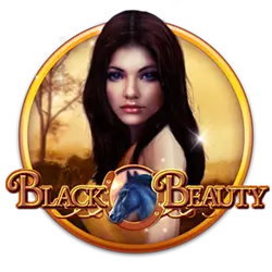 plain lr how to multi bet on sportsbet